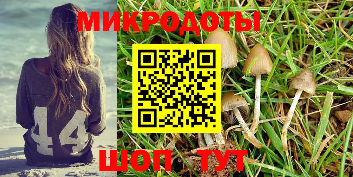 Галлюциногенные грибы GOLDEN TEACHER Керчь