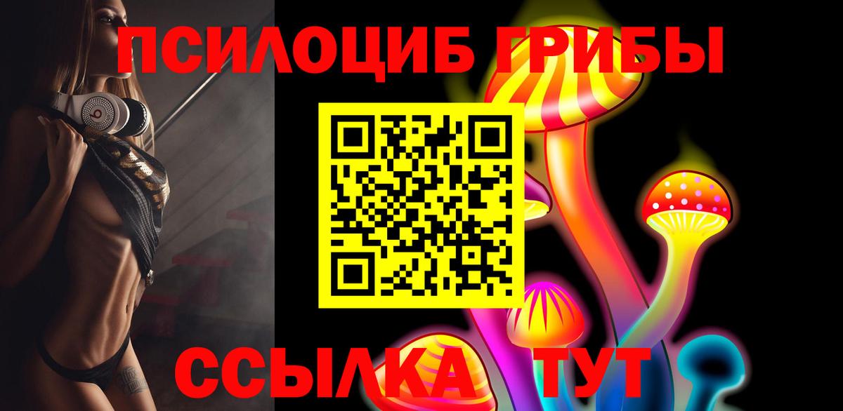 Псилоцибиновые грибы Psilocybine cubensis  Вход с VPN  Керчь 